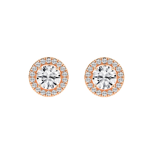 Luna Gleam â€“ Double Halo Studs