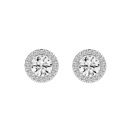 Luna Gleam â€“ Double Halo Studs