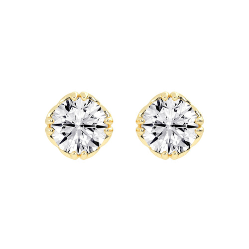 Crested Brilliance Studs
