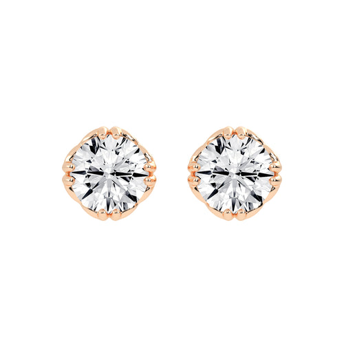 Crested Brilliance Studs