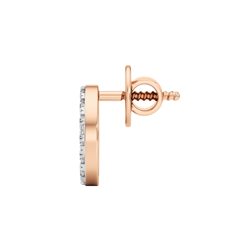 025Ct Round Shape Fancy Studs Earrings