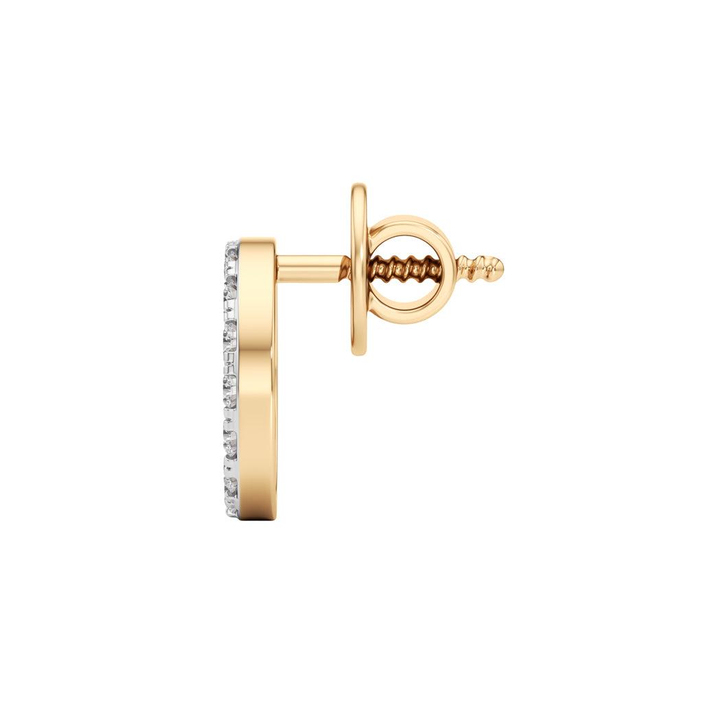 025Ct Round Shape Fancy Studs Earrings