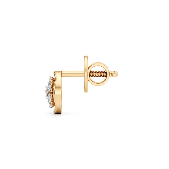 025Ct Round Shape Fancy Stud