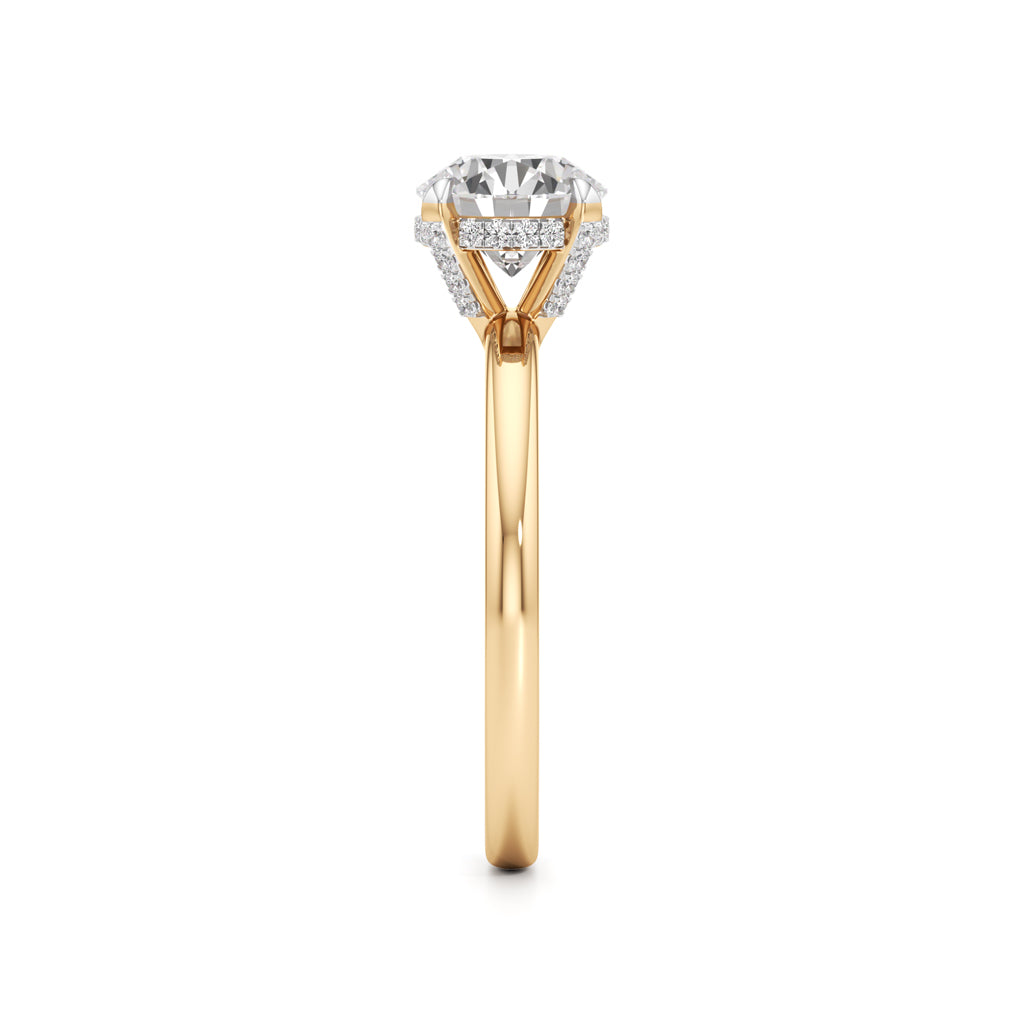 Elevated Diamond  Set Solitaire Ring